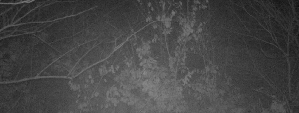 Jan 22 2025 21:34:20, #01