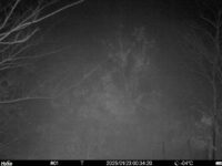 Jan 23 2025  0:34:19, #01