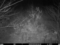 Jan 23 2025  3:34:20, #01
