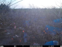 Jan 23 2025  6:34:20, #01