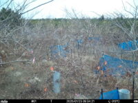 Jan 23 2025  9:34:21, #01