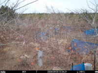 Jan 23 2025 12:34:21, #01