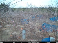Jan 23 2025 15:34:21, #01
