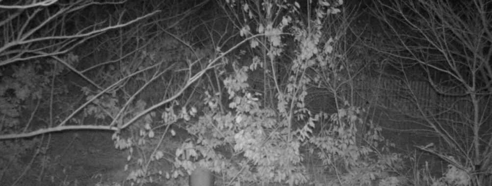Jan 23 2025 21:34:20, #01
