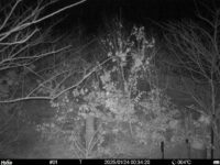 Jan 24 2025  0:34:20, #01