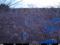Jan 24 2025  6:34:21, #01