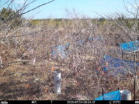 Jan 24 2025  9:34:21, #01
