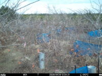 Jan 24 2025 12:34:21, #01