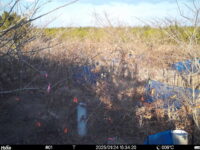 Jan 24 2025 15:34:20, #01