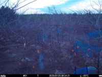 Jan 25 2025  6:34:21, #01