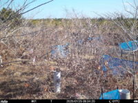 Jan 25 2025  9:34:20, #01