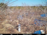Jan 25 2025 12:34:21, #01