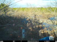 Jan 25 2025 15:34:21, #01