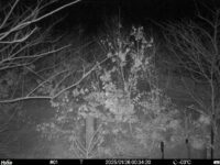 Jan 26 2025  0:34:20, #01