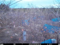 Jan 26 2025  6:34:20, #01