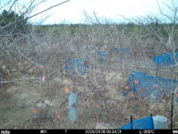 Jan 26 2025  9:34:21, #01