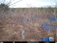 Jan 26 2025 12:34:20, #01