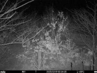 Feb 1 2025  0:34:20, #01