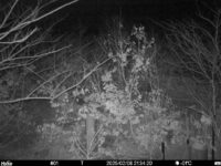 Feb 8 2025 21:34:19, #01