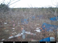 Feb 9 2025 12:34:20, #01