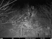 Feb 18 2025 18:34:21, #01