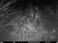 Feb 19 2025  0:34:20, #01