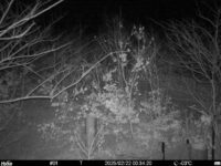Feb 22 2025  0:34:20, #01