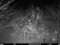 Feb 25 2025  3:34:20, #01