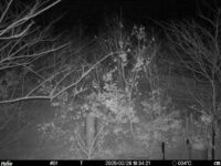 Feb 26 2025 18:34:20, #01
