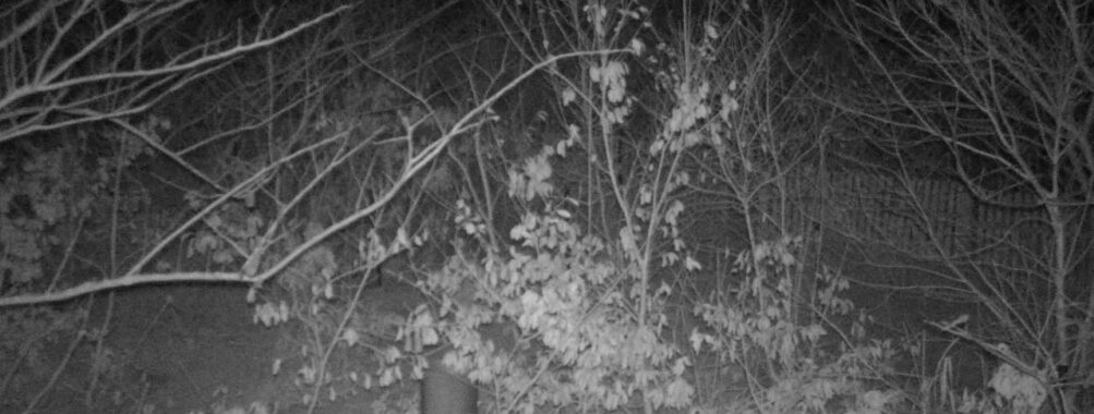 Mar 1 2025 21:34:20, #01