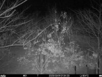 Mar 1 2025 21:34:20, #01