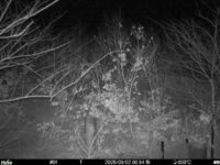 Mar 2 2025  0:34:19, #01