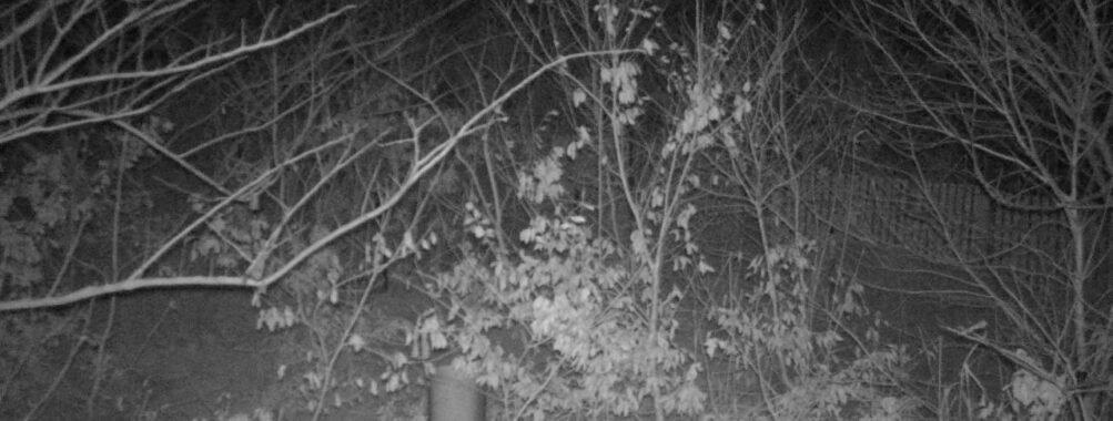 Mar 2 2025 21:34:20, #01
