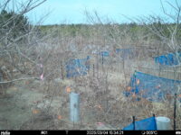 Mar 4 2025 15:34:21, #01