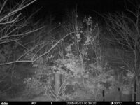 Mar 7 2025  0:34:20, #01