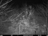 Mar 7 2025 18:34:21, #01