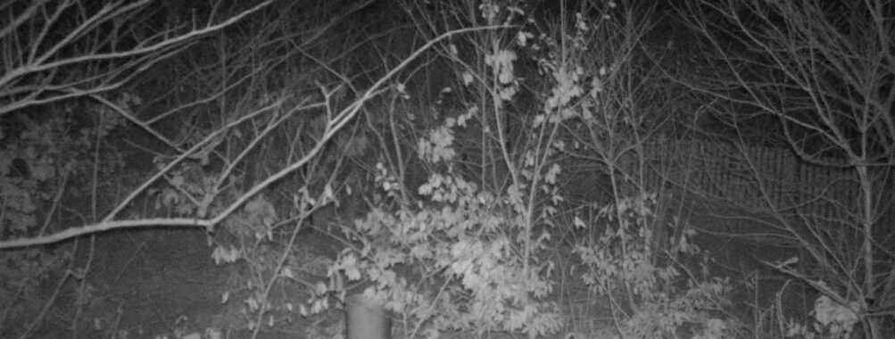 Mar 8 2025  0:34:20, #01