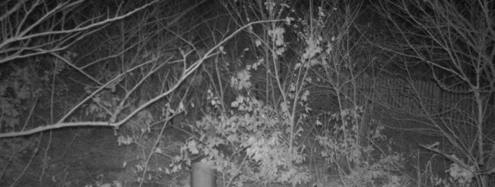 Mar 8 2025 18:34:21, #01