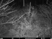 Mar 9 2025  3:34:21, #01