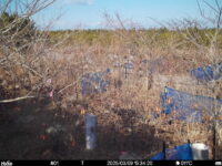 Mar 9 2025 15:34:20, #01