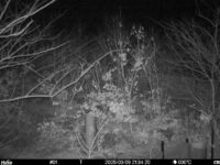 Mar 9 2025 21:34:20, #01