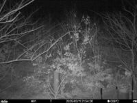 Mar 11 2025 21:34:20, #01