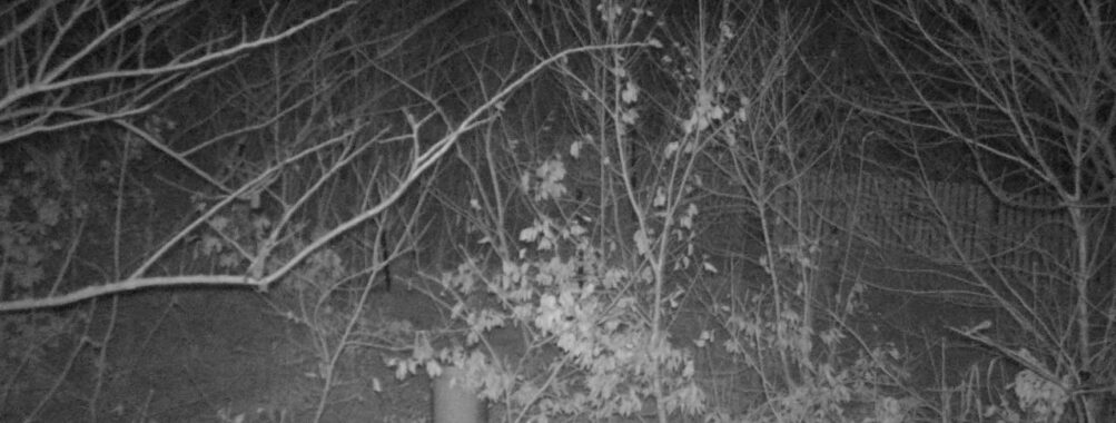 Mar 14 2025  3:34:19, #01