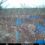 Mar 16 2025 12:34:20, #01