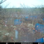 Mar 16 2025 15:34:21, #01