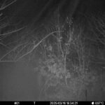 Mar 16 2025 18:34:21, #01