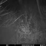 Mar 16 2025 21:34:20, #01