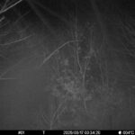 Mar 17 2025  0:34:20, #01
