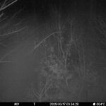 Mar 17 2025  3:34:19, #01