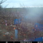 Mar 17 2025  6:34:20, #01